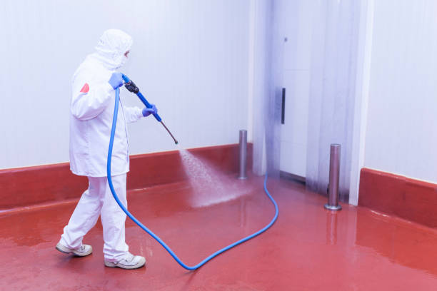 Best Rust Removal  in Indian Rocks Beach, FL