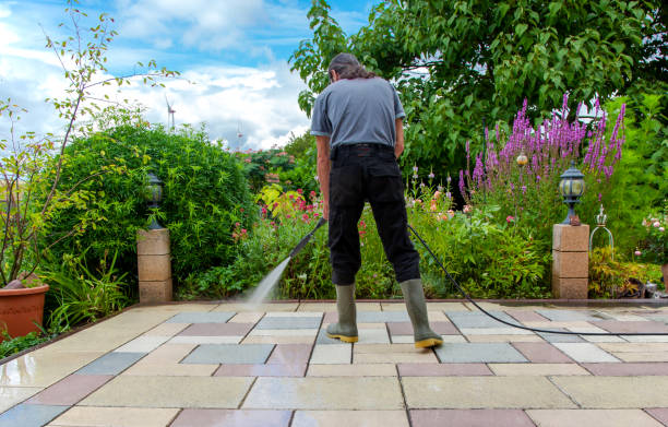 Best Animal Enclosure Cleaning  in Indian Rocks Beach, FL