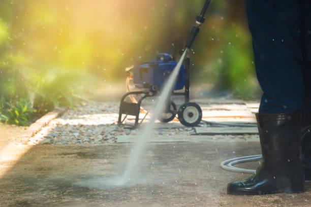 Animal Enclosure Cleaning in Indian Rocks Beach, FL